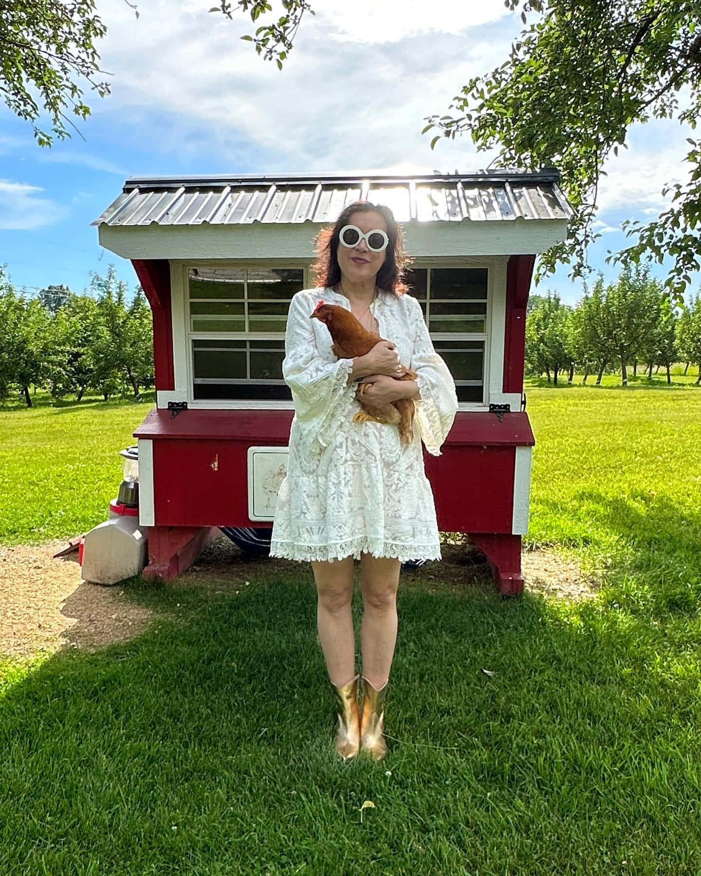 Woman Holding Chickenat Red Henhouse Background