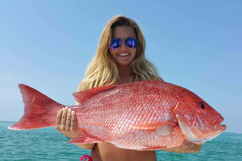 Woman Holding Large Red Snapper Background