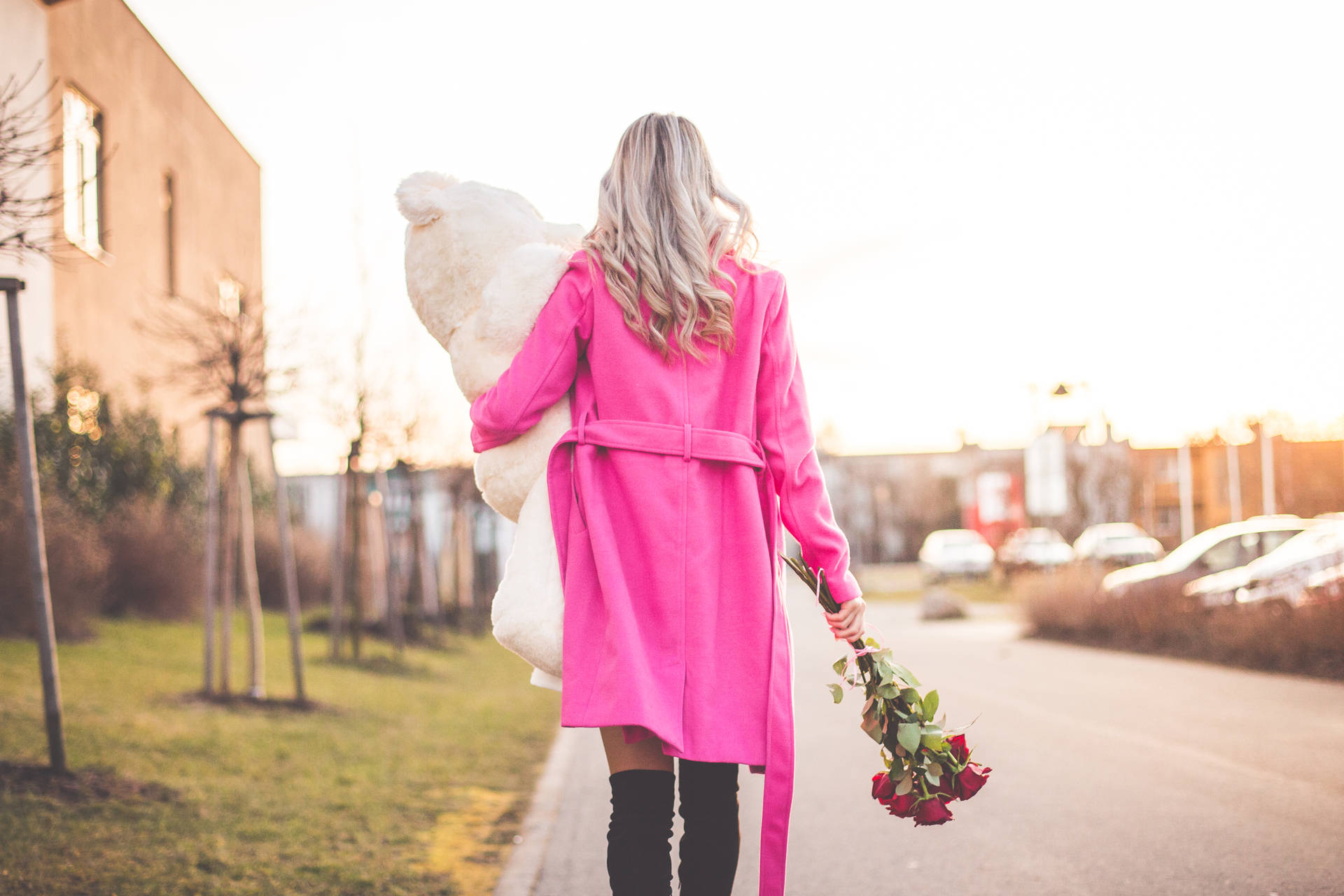 Woman Holding Rose Aesthetic Phone Background