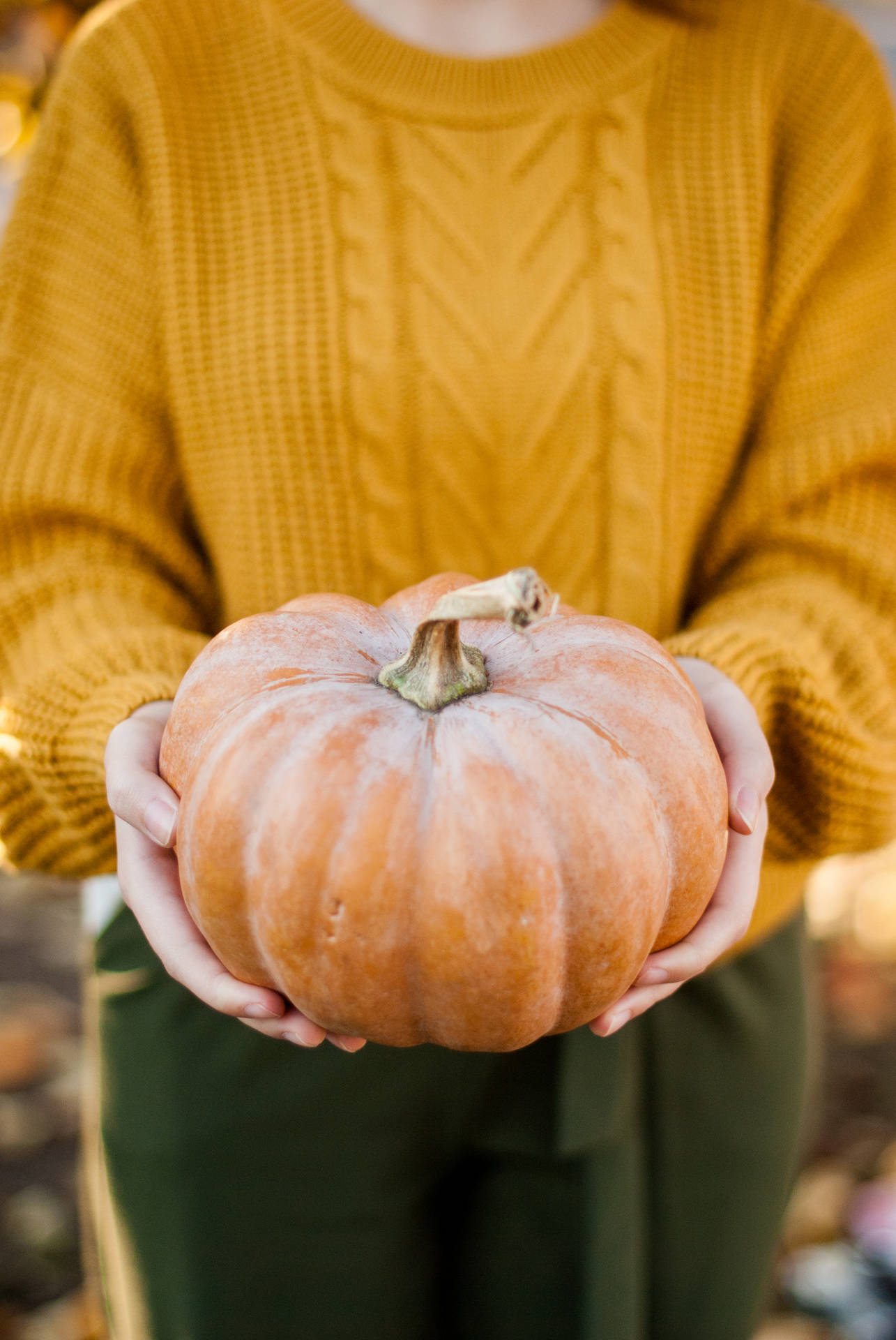 Woman Holds Pumpkin Background