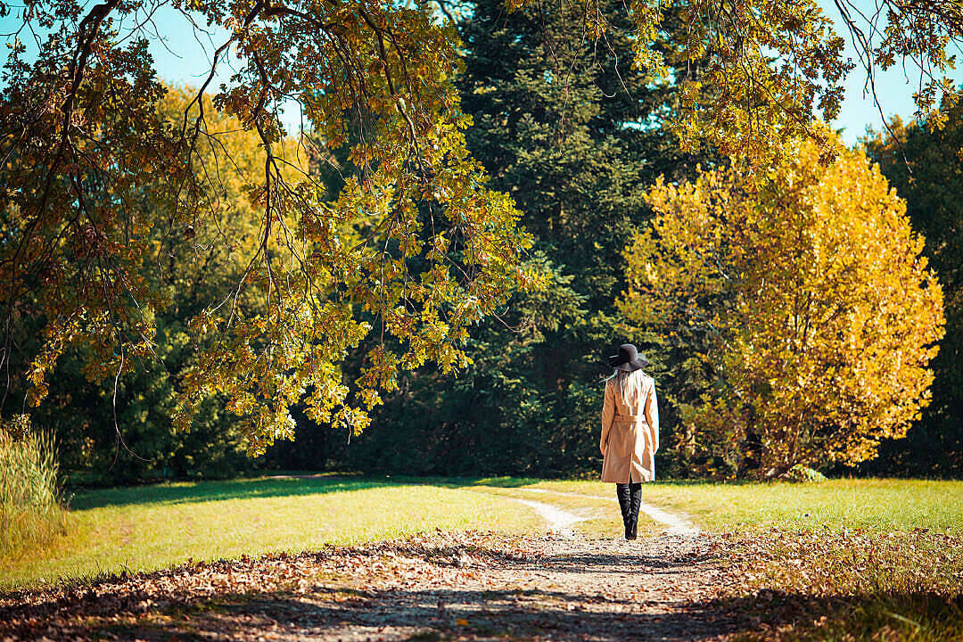 Woman In Park Beautiful Autumn Desktop Background