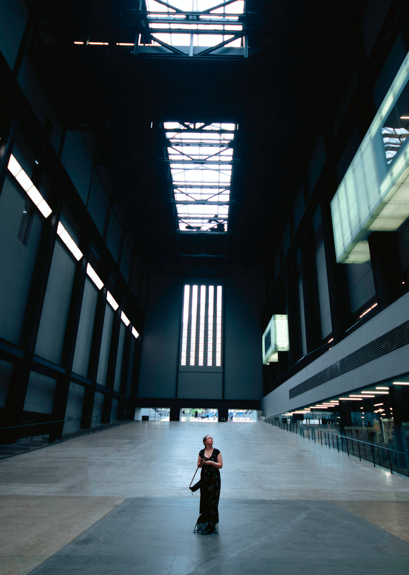 Woman In Turbine Hall Tate Modern Background