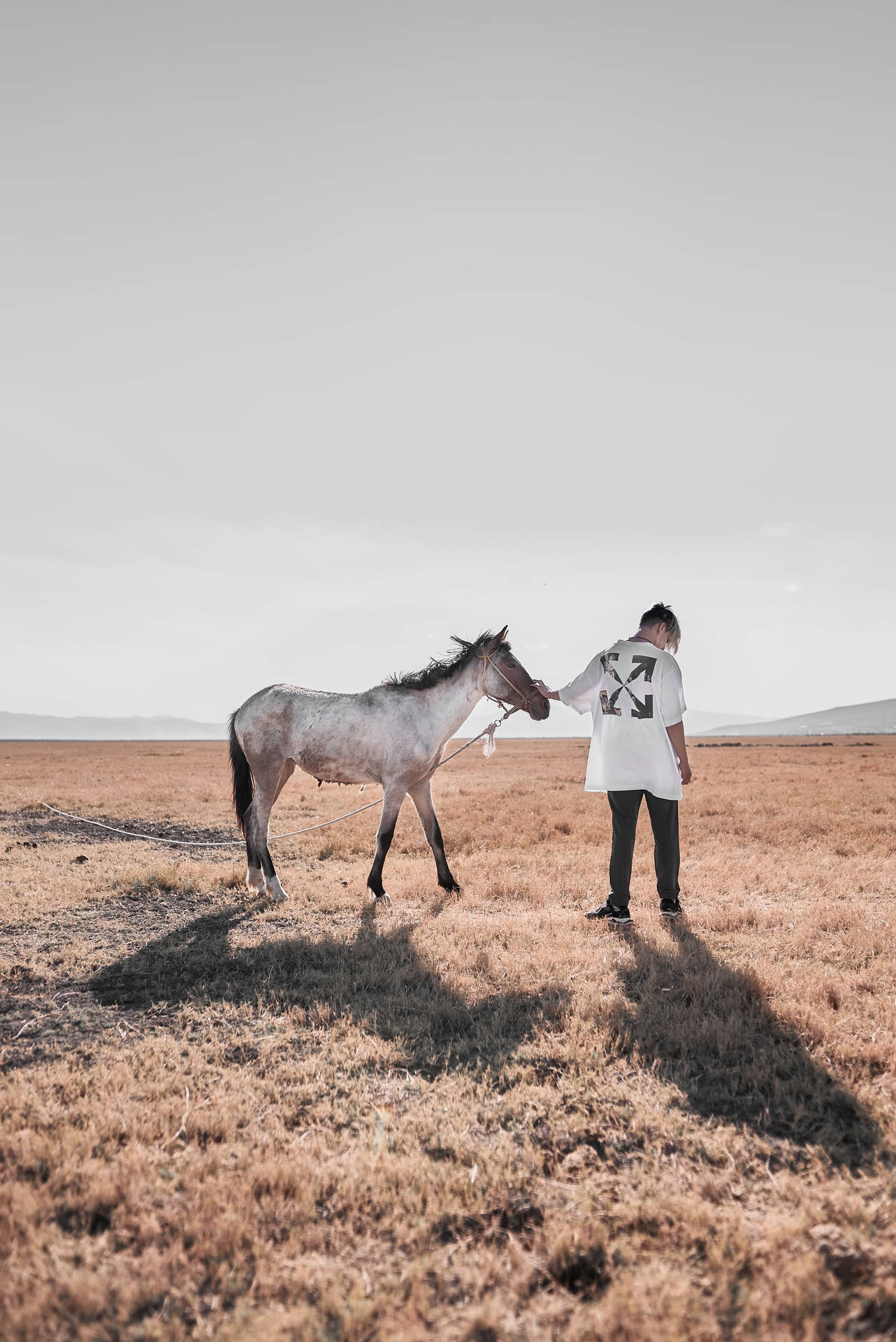 Woman In White Long Sleeve Shirt And Brown Pants Standing Beside White Horse During Daytime Background