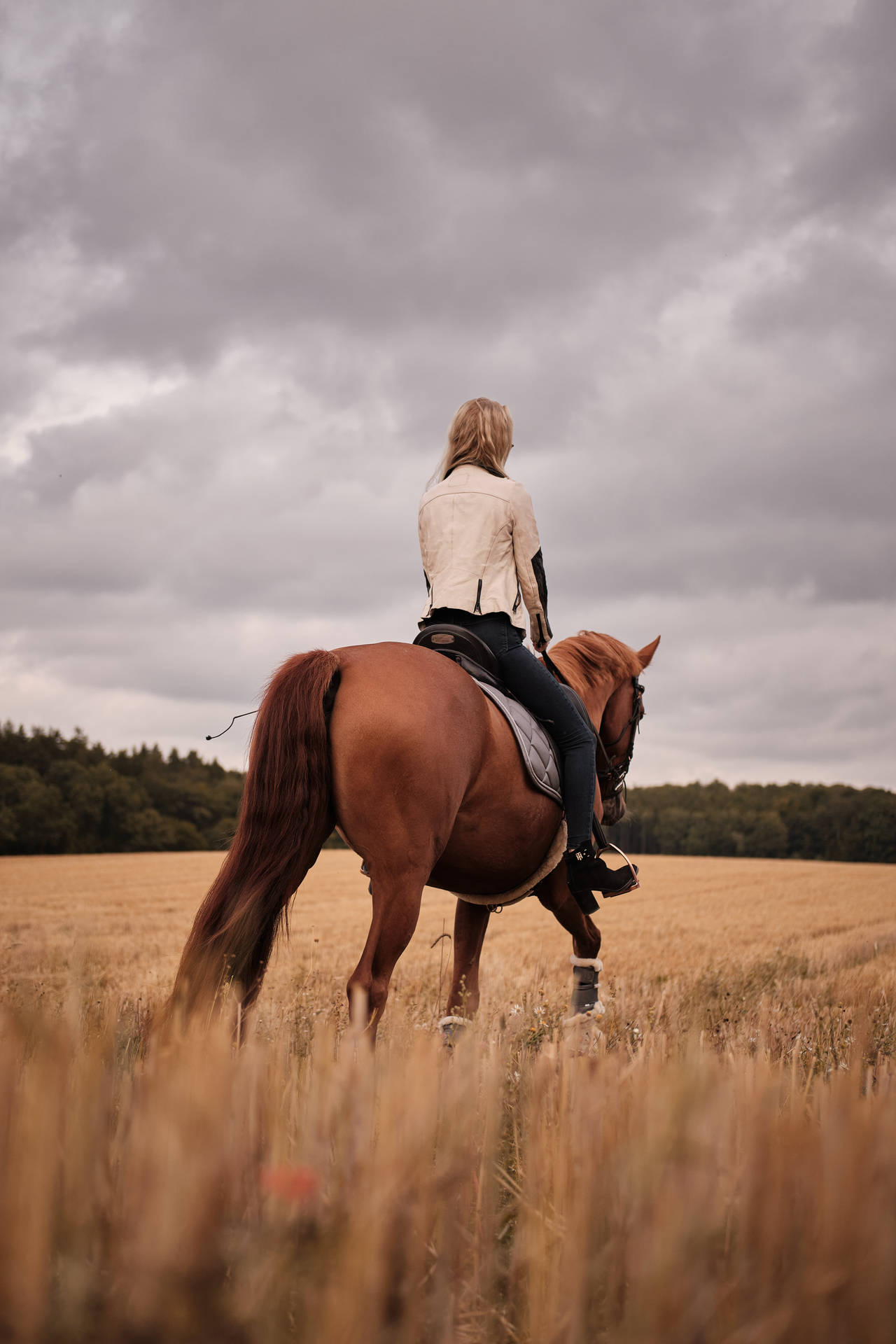 Woman In White Shirt Riding Brown Horse During Daytime Background