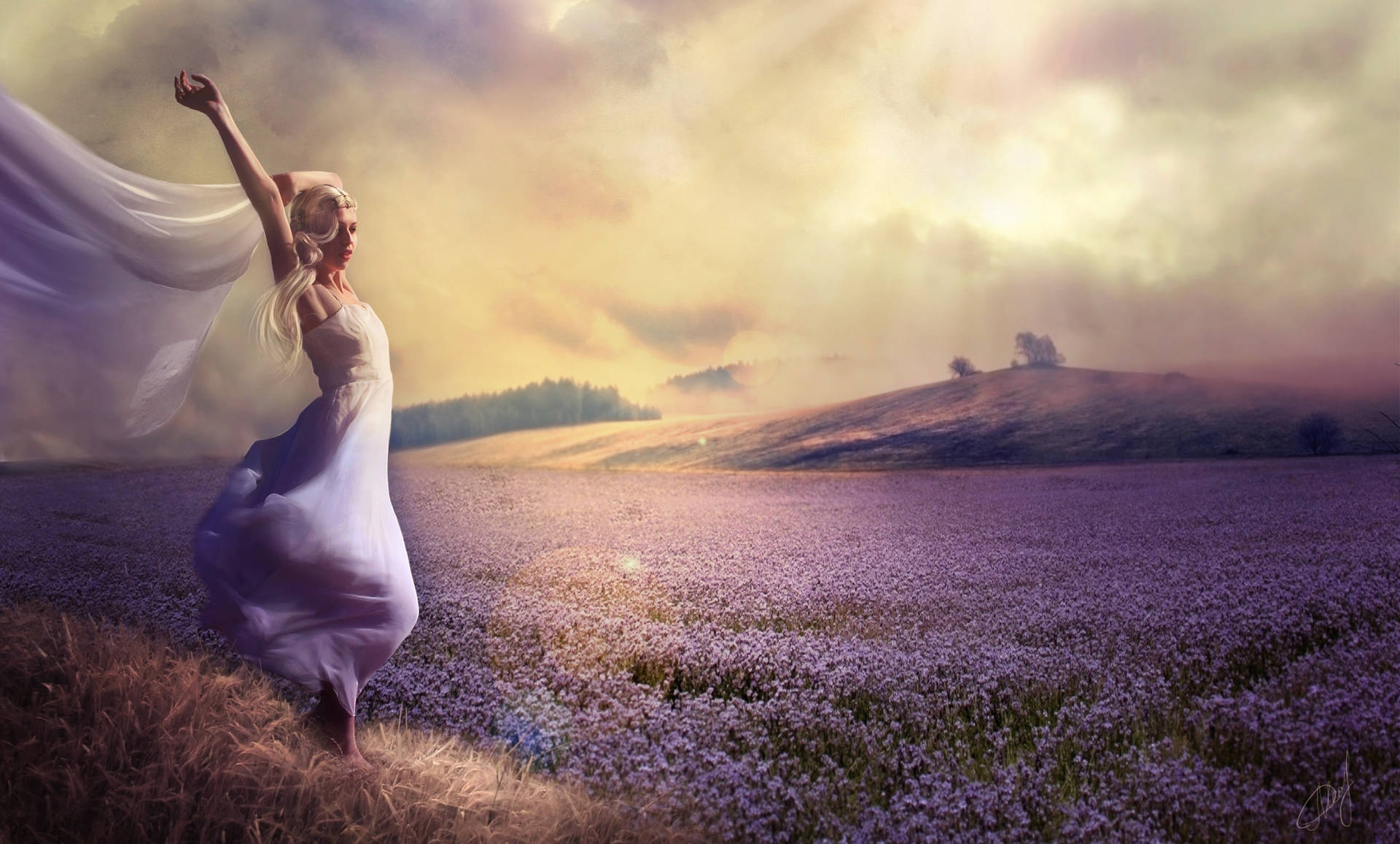 Woman Lavender Field Fantasy Art Background