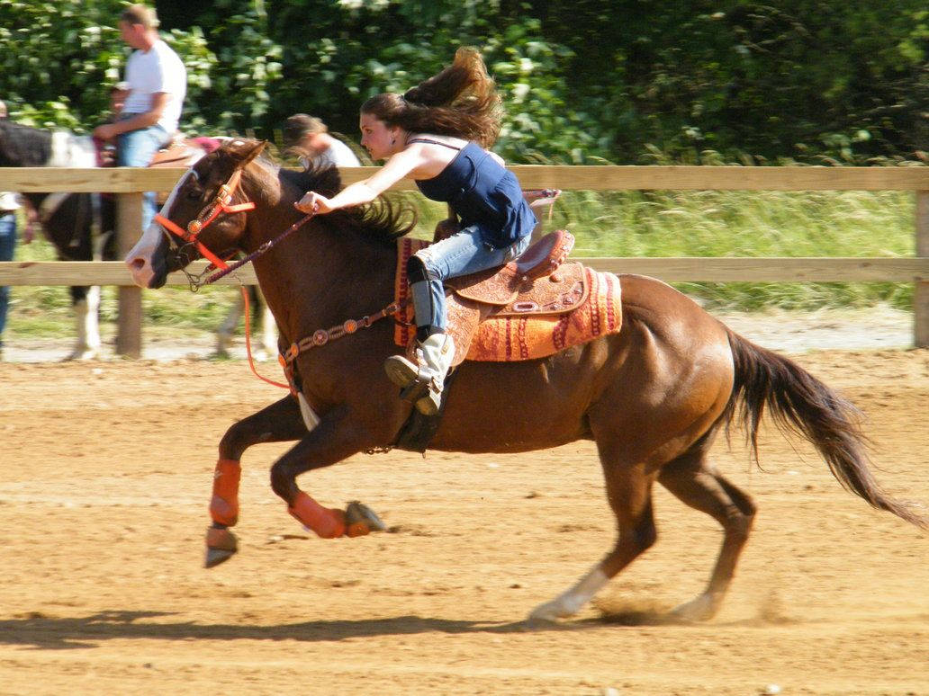 Woman Riding Quarter Horse In Preparation For Barrel Racing Background