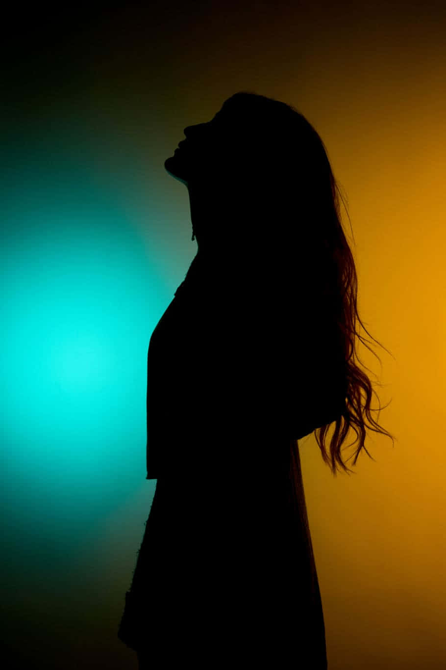 Woman Silhouette With Two Color Background