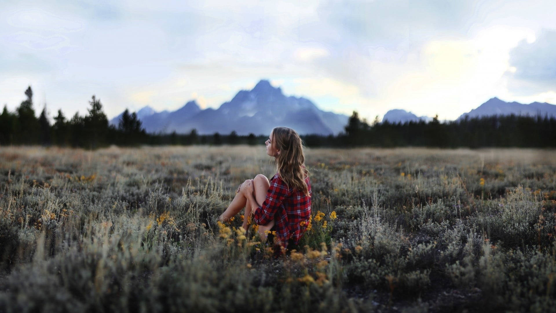 Woman Sitting Alone On Grassy Field Background