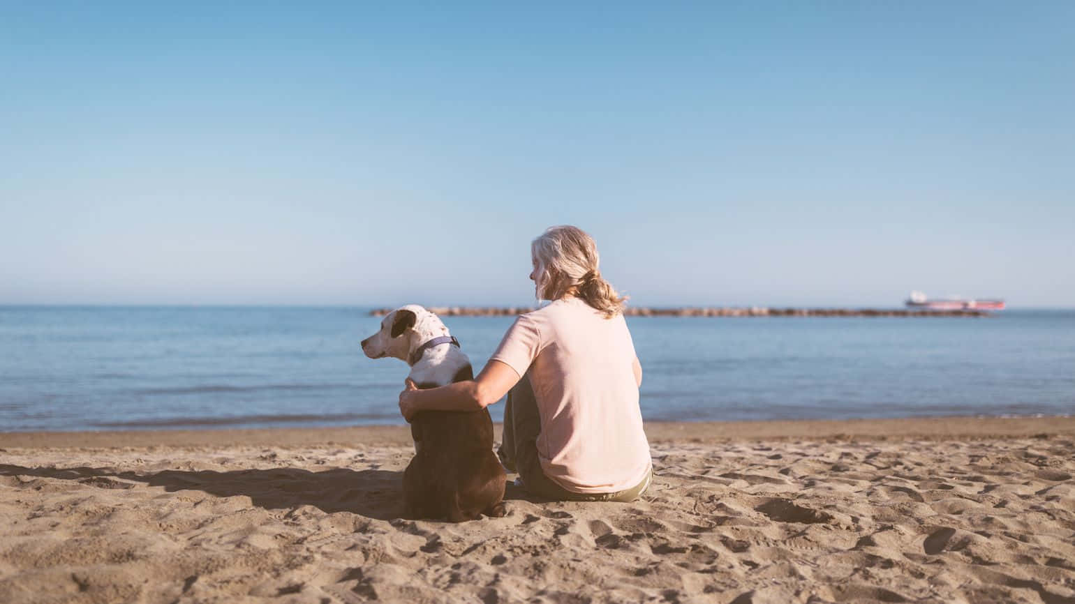 Woman Sitting On Beach With Dog Background