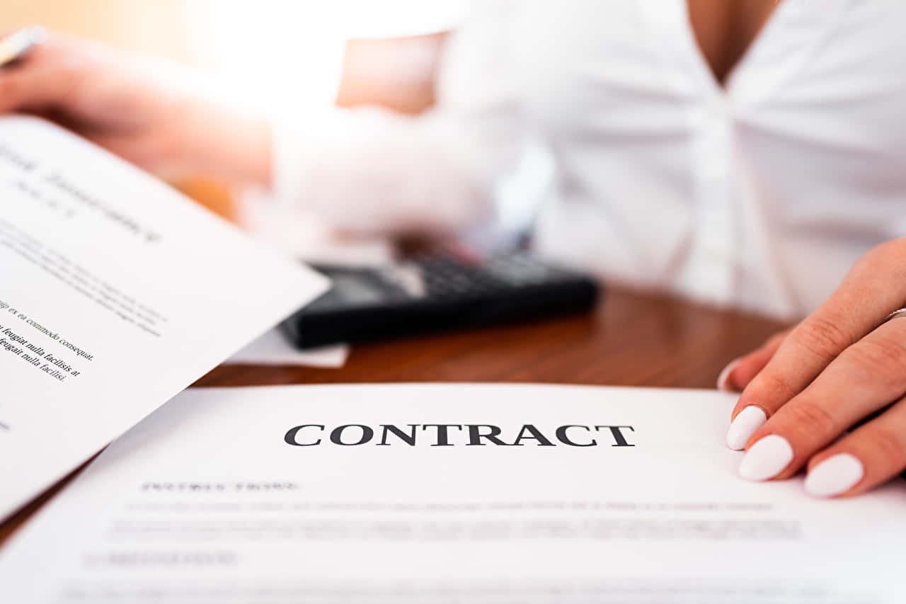 Woman Studying Contract Documents Background