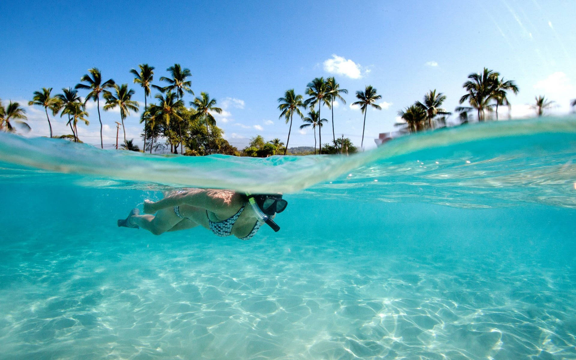 Woman Swimming In Water Tropical Desktop Background