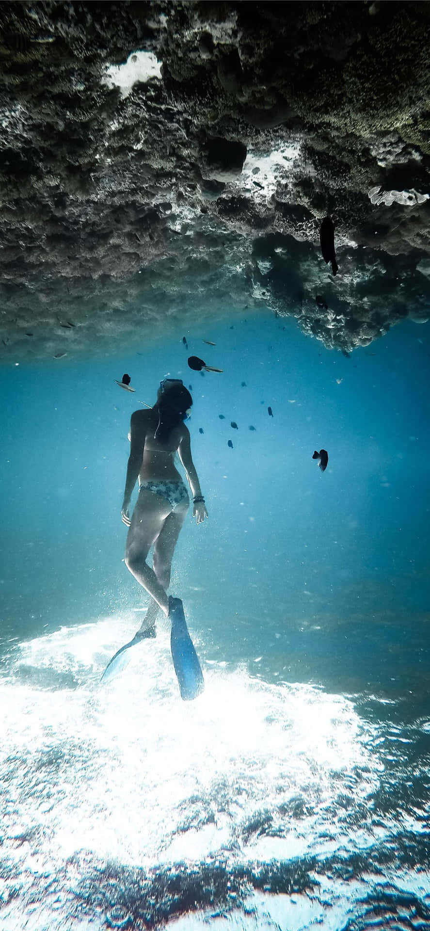 Woman Swimming With Fishes Underwater Iphone Background