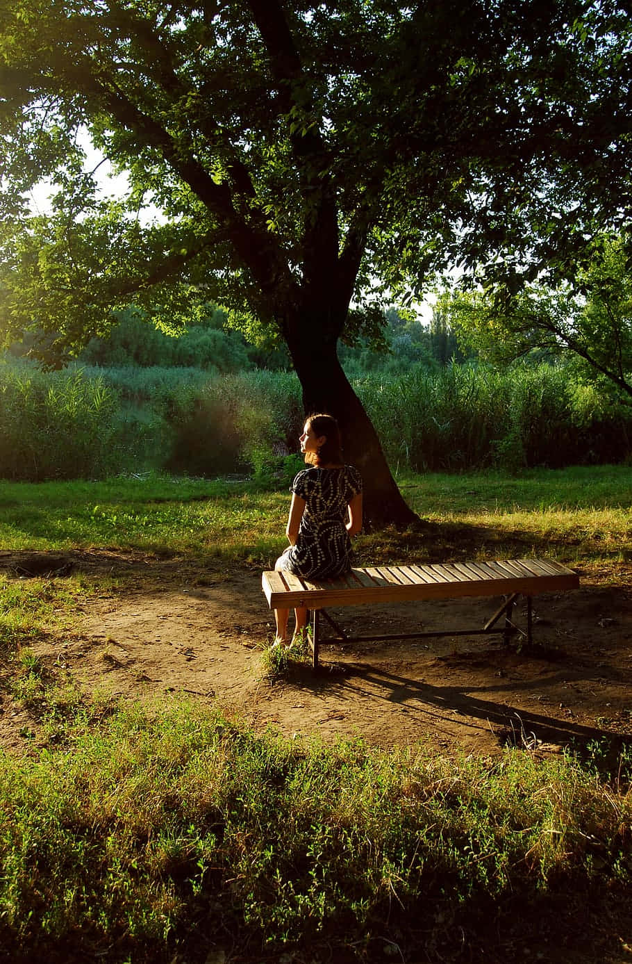 Woman Waiting For Her Partner Beside A Tree