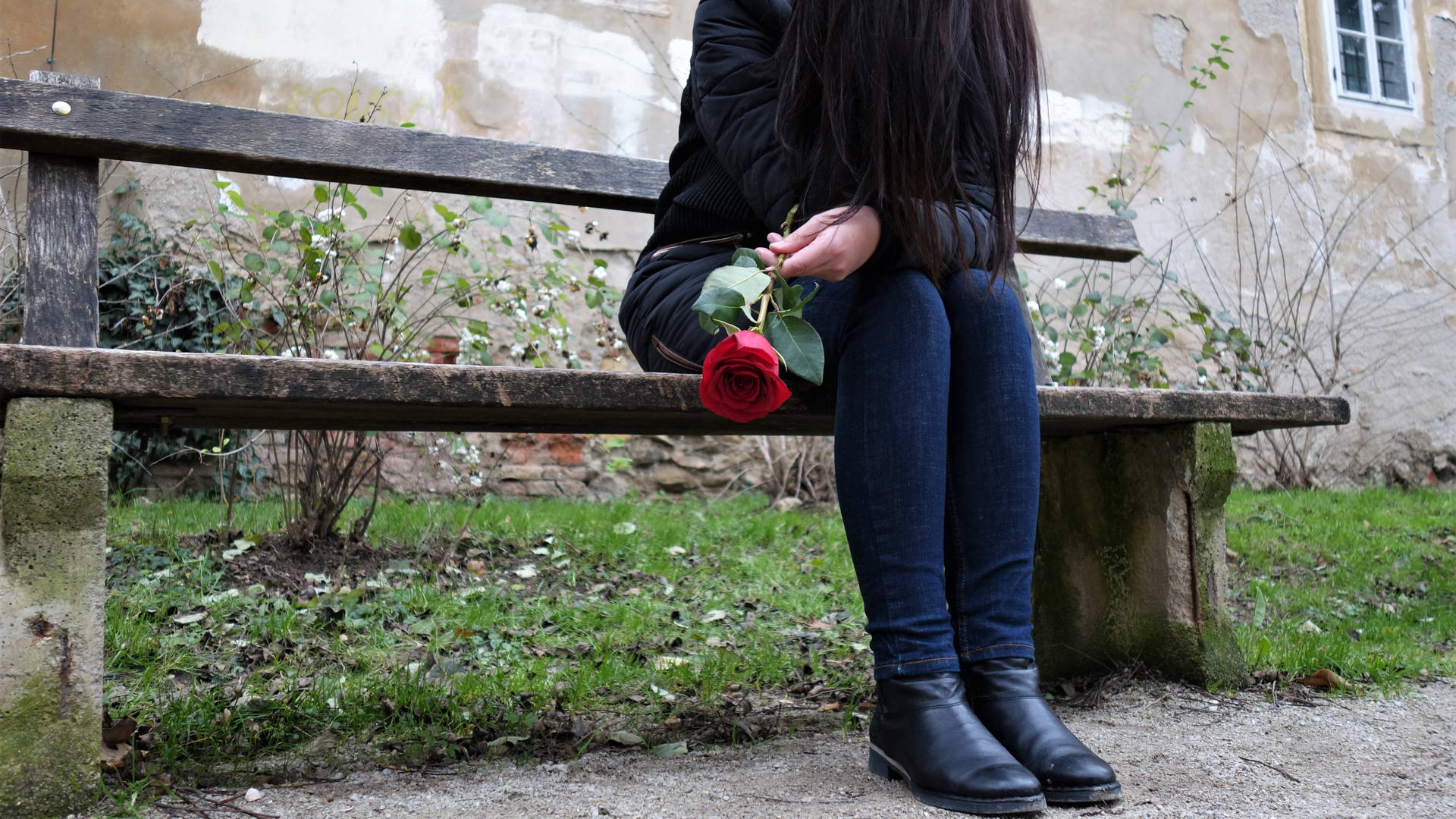 Woman With A Rose Sad 4k