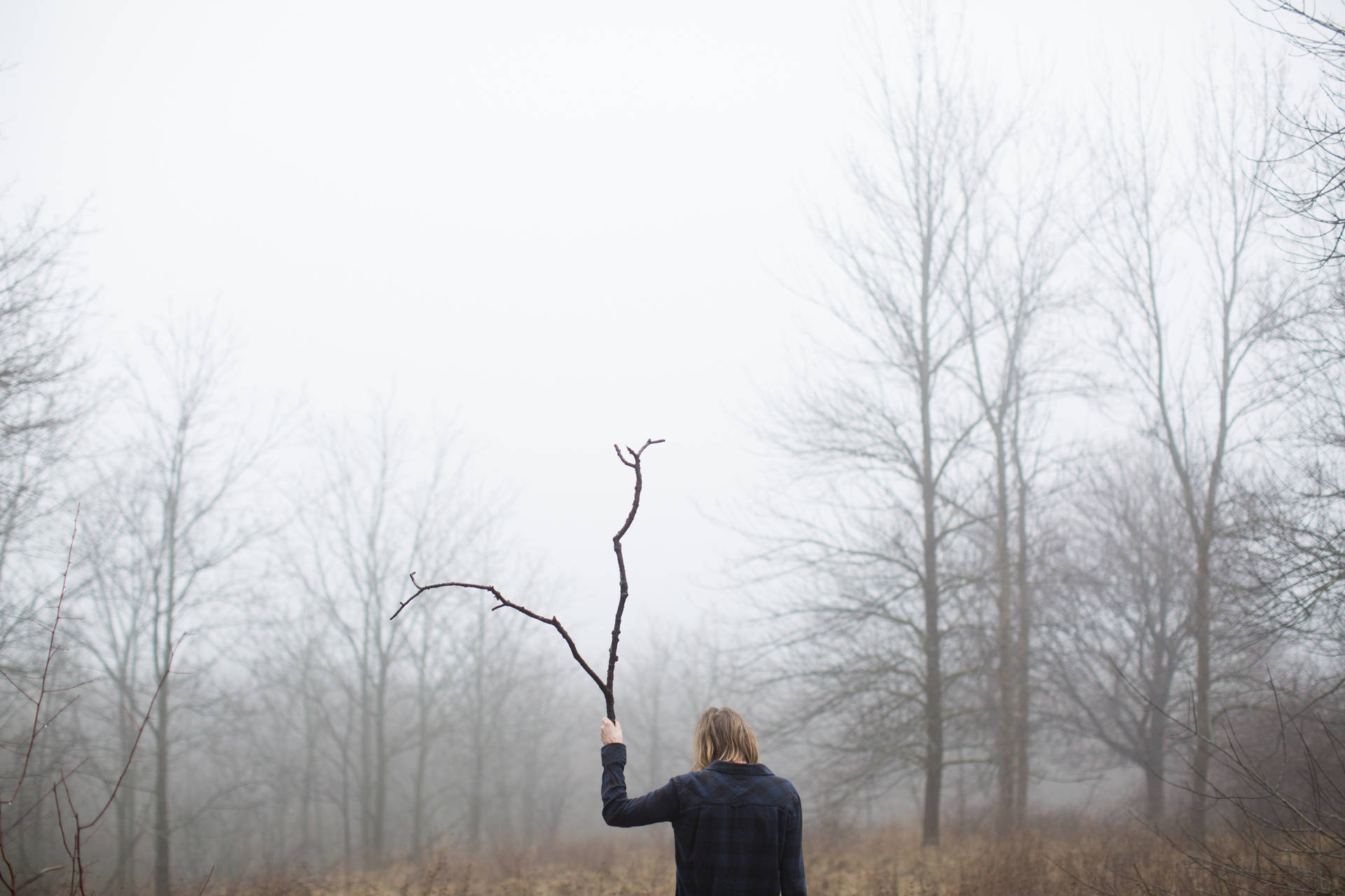 Woman With Branch In Foggy Forest Background