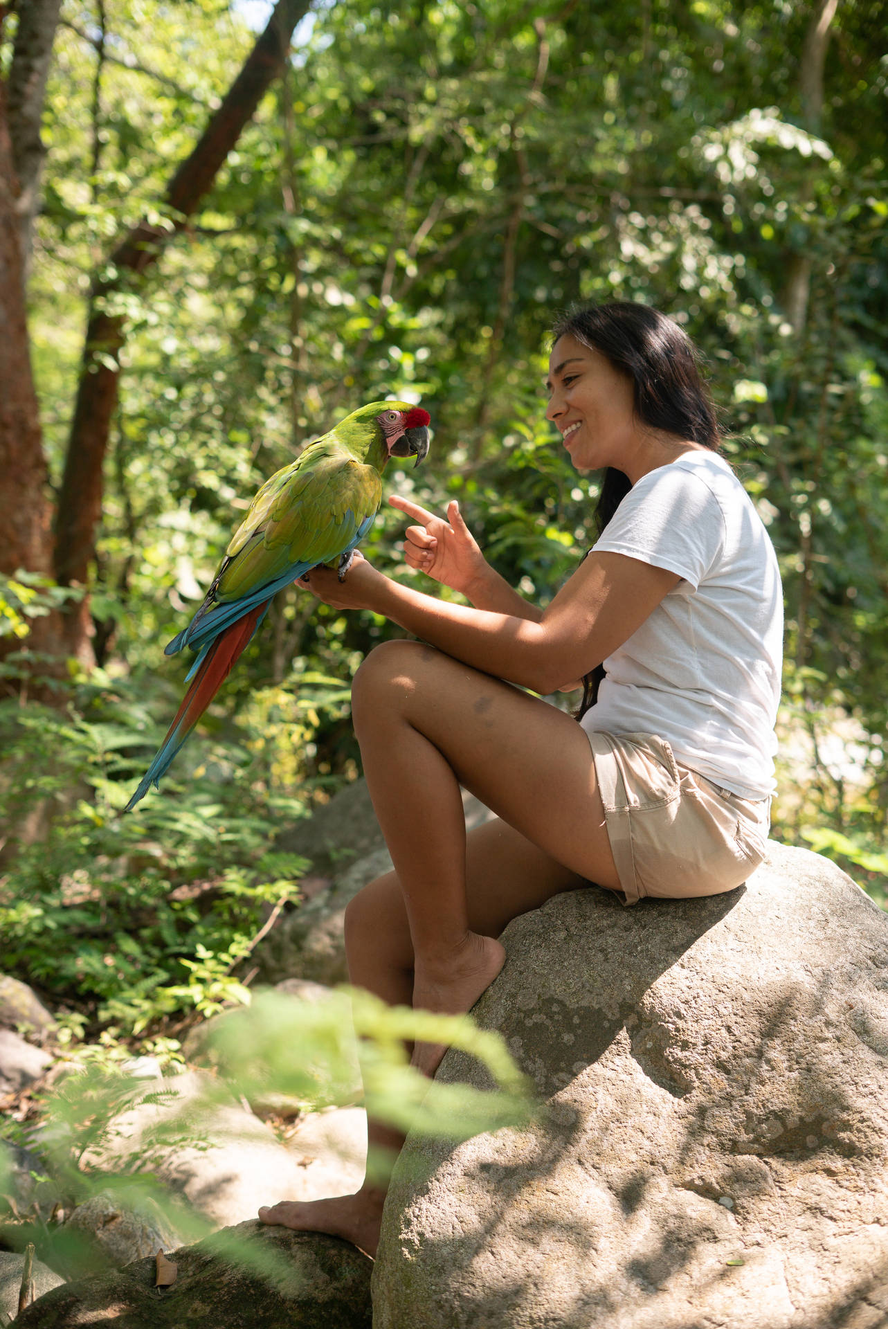 Woman With Green Parrot Hd