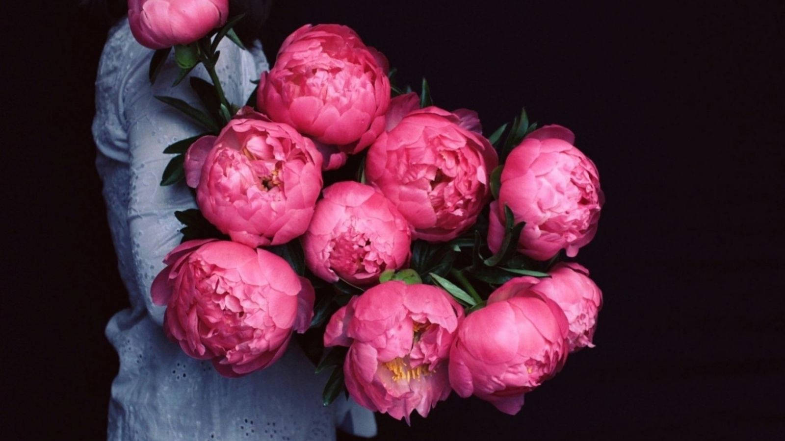 Woman With Pink Peony Flowers Background