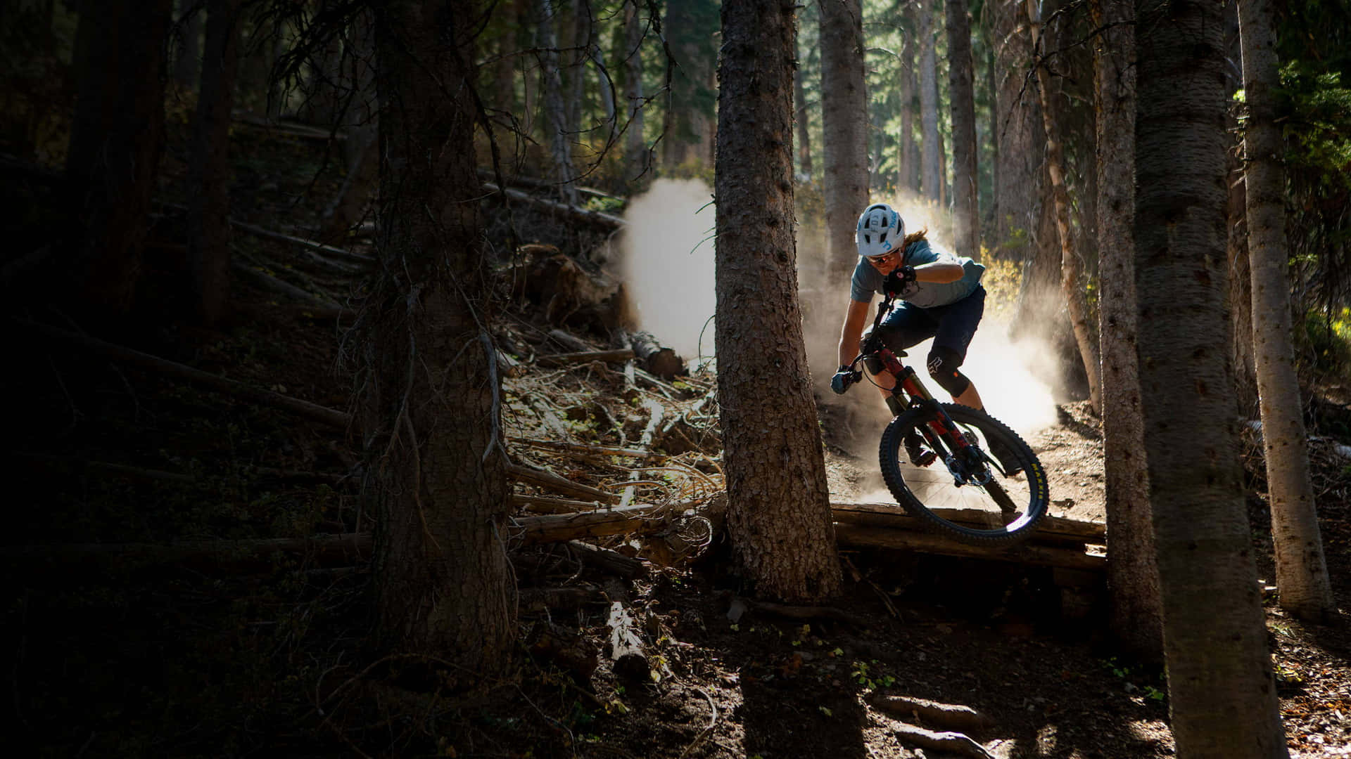 Woman With Specialized Mountain Bike In The Wood