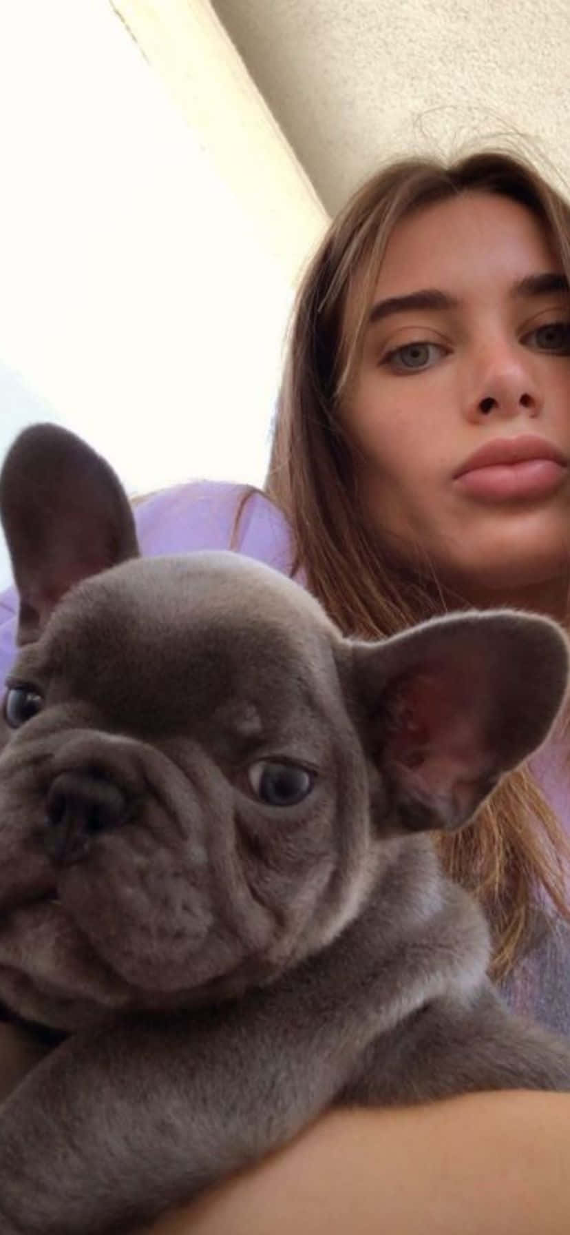 Womanand French Bulldog Selfie Background