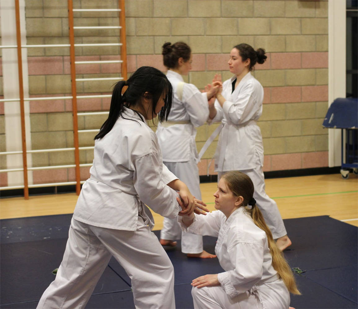 Women Hapkido Class Background