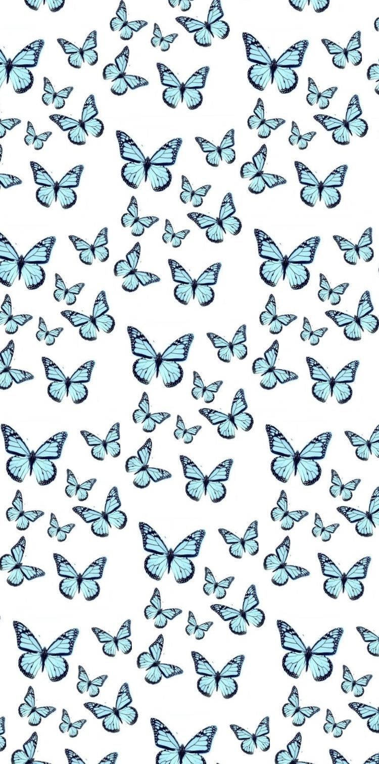 Wonderful Butterfly Iphone Theme Display Background