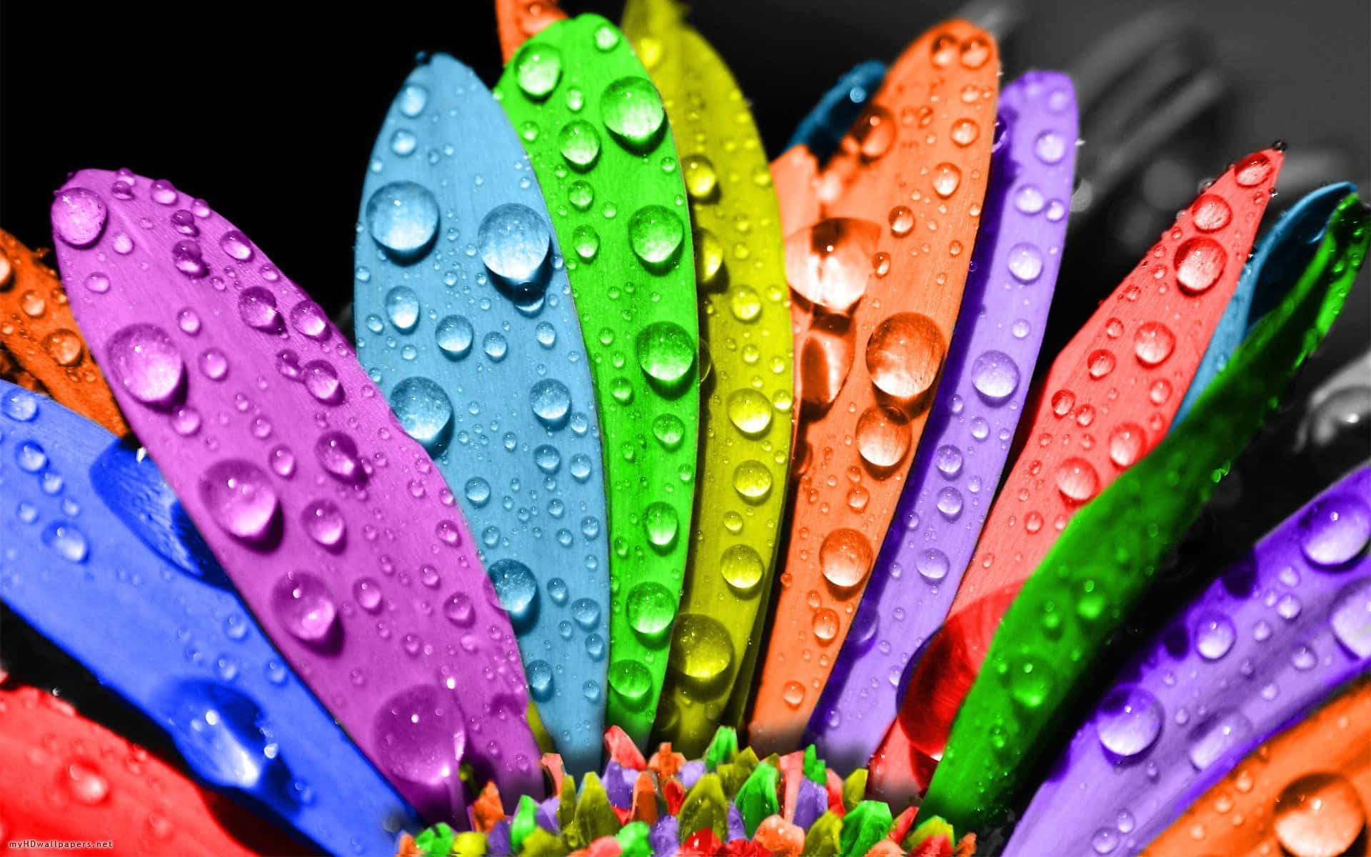 Wonderful Colorful Droplets Background