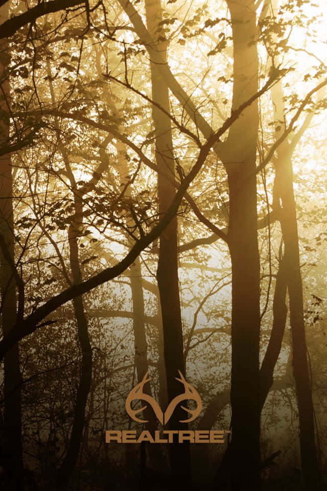 Wonderful Hunting Phone Theme Display Background