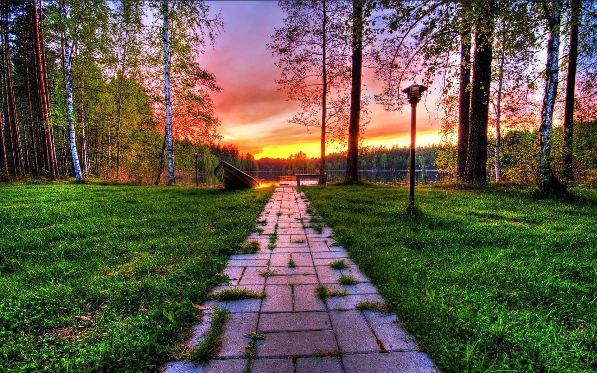 Wonderful Pathway During Sunset Background