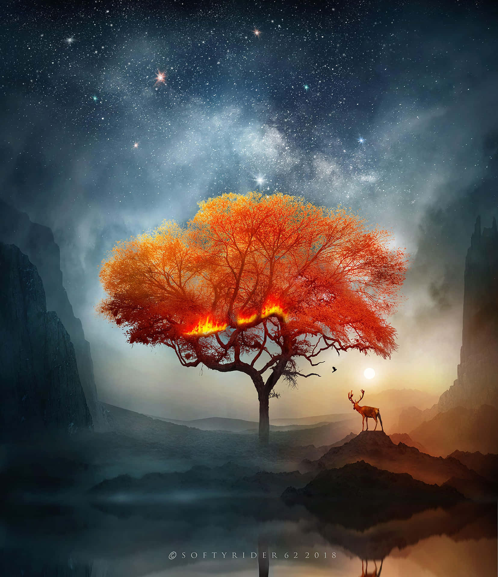 Wonderful Tree Under Night Sky Background