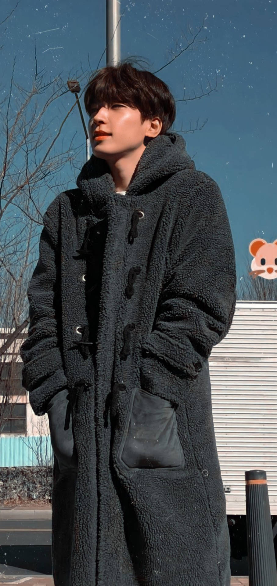 Wonwoo In Winter Background