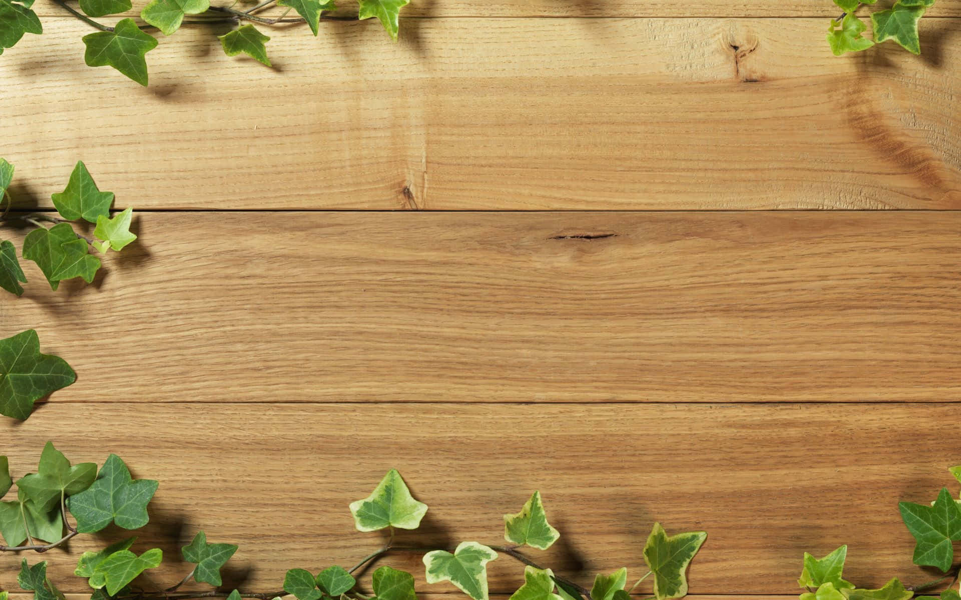 Wood Planks With Boston Ivy Leaves Wooden Background