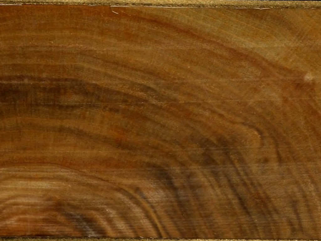 Wood With Copious Ring Details Background