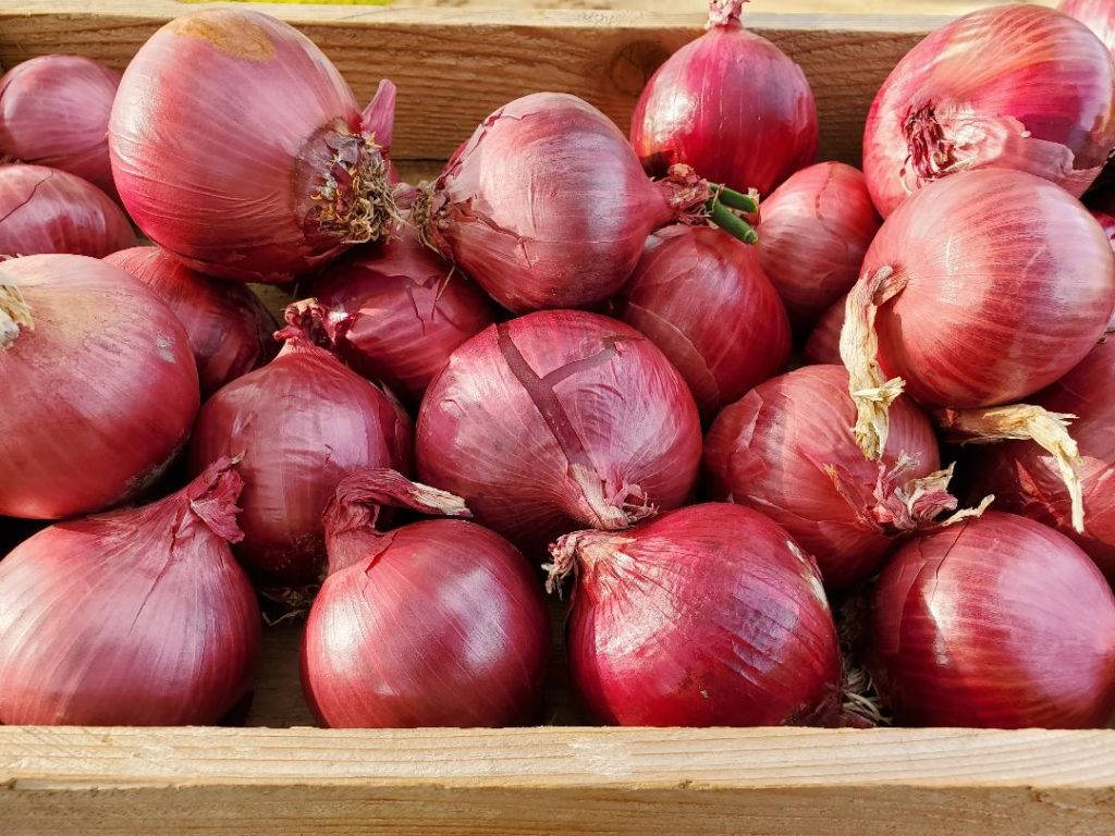 Wooden Box Filled With Red Onions Background