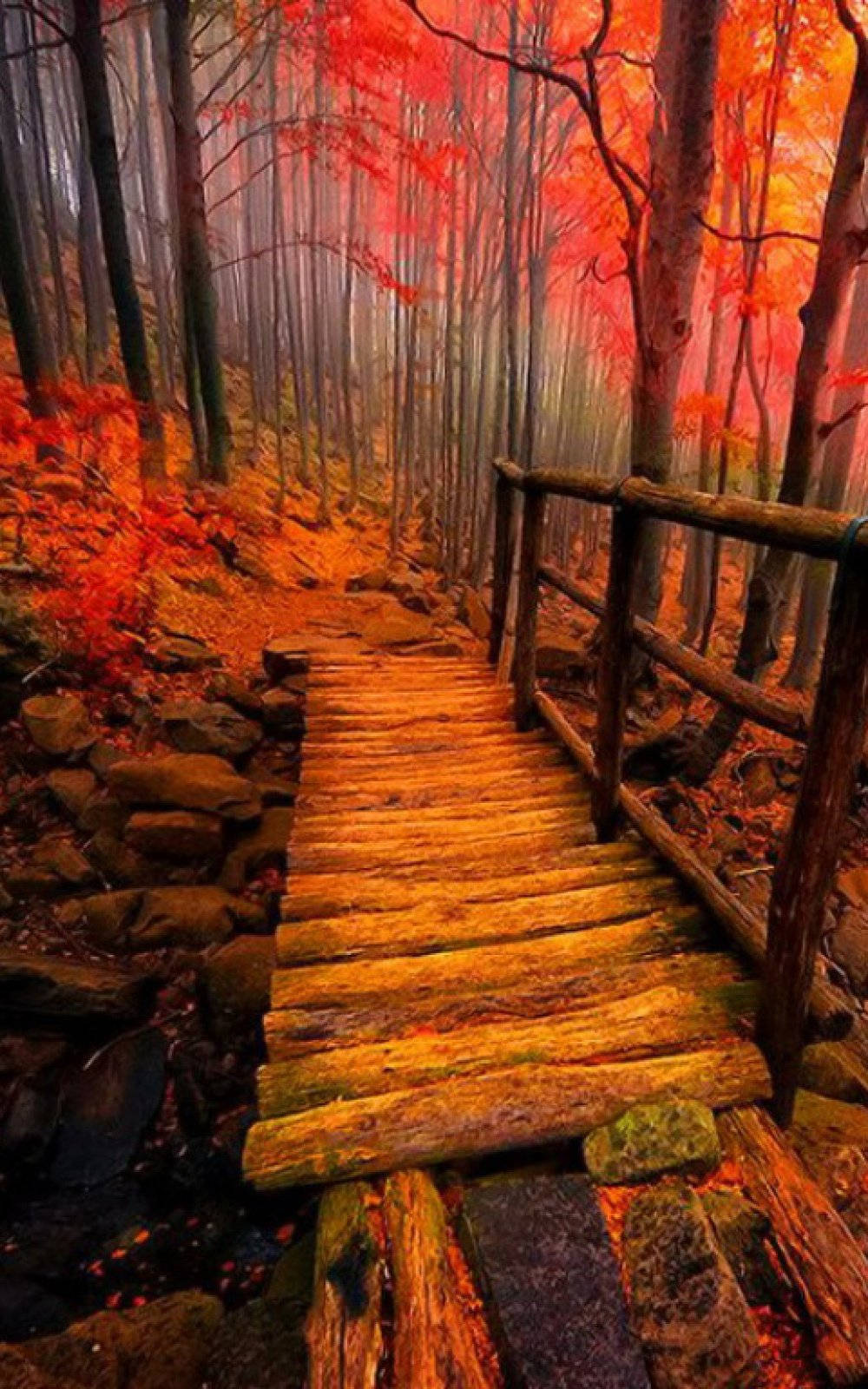 Wooden Bridge In Autumn Phone Background