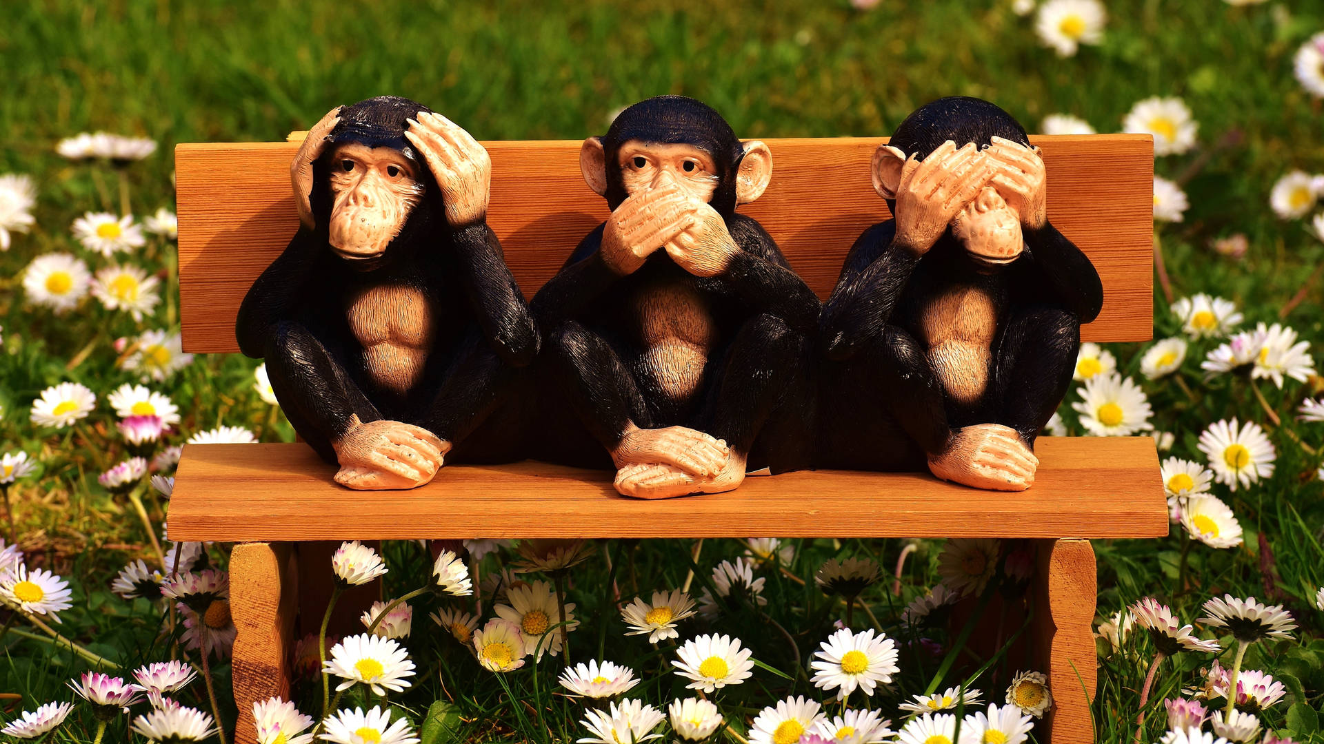 Wooden Chimpanzees At Bench Near Flowers Background