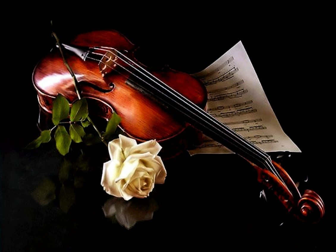 Wooden Chordophone Violin Instrument And White Rose