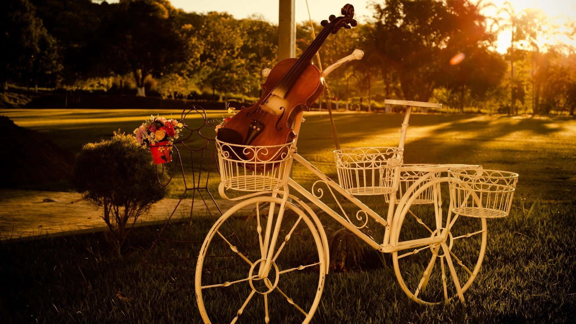 Wooden Chordophone Violin Instrument In Bike Basket Background