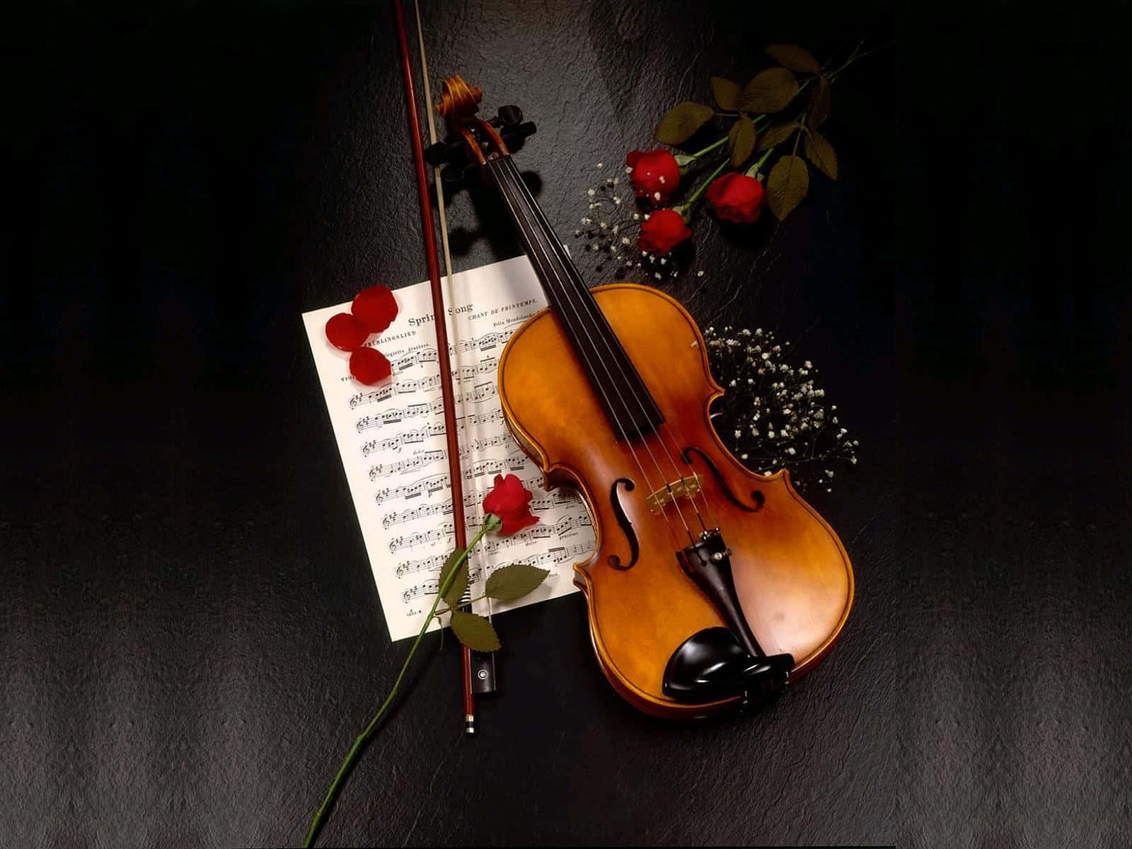 Wooden Chordophone Violin Instrument Roses And Petals Background