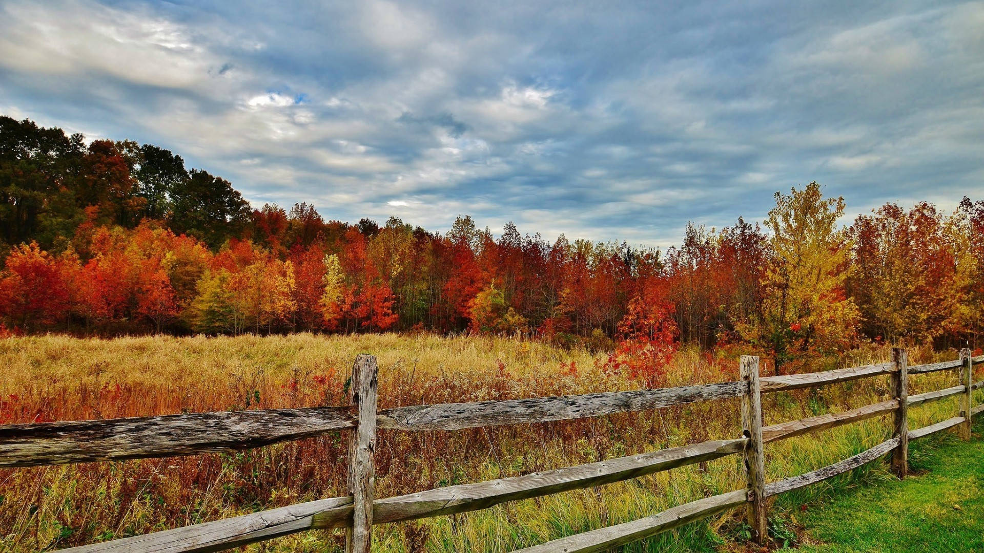 Wooden Fence Best Autumn Background