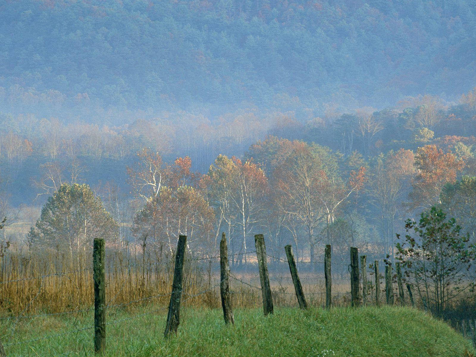 Wooden Fences Within The Great Smoky Mountains Background