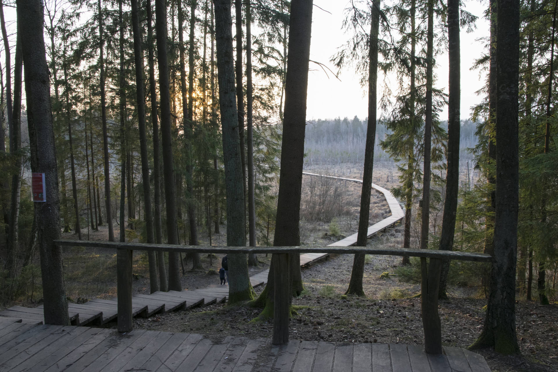 Wooden Hiking Trail In Lithuania Background