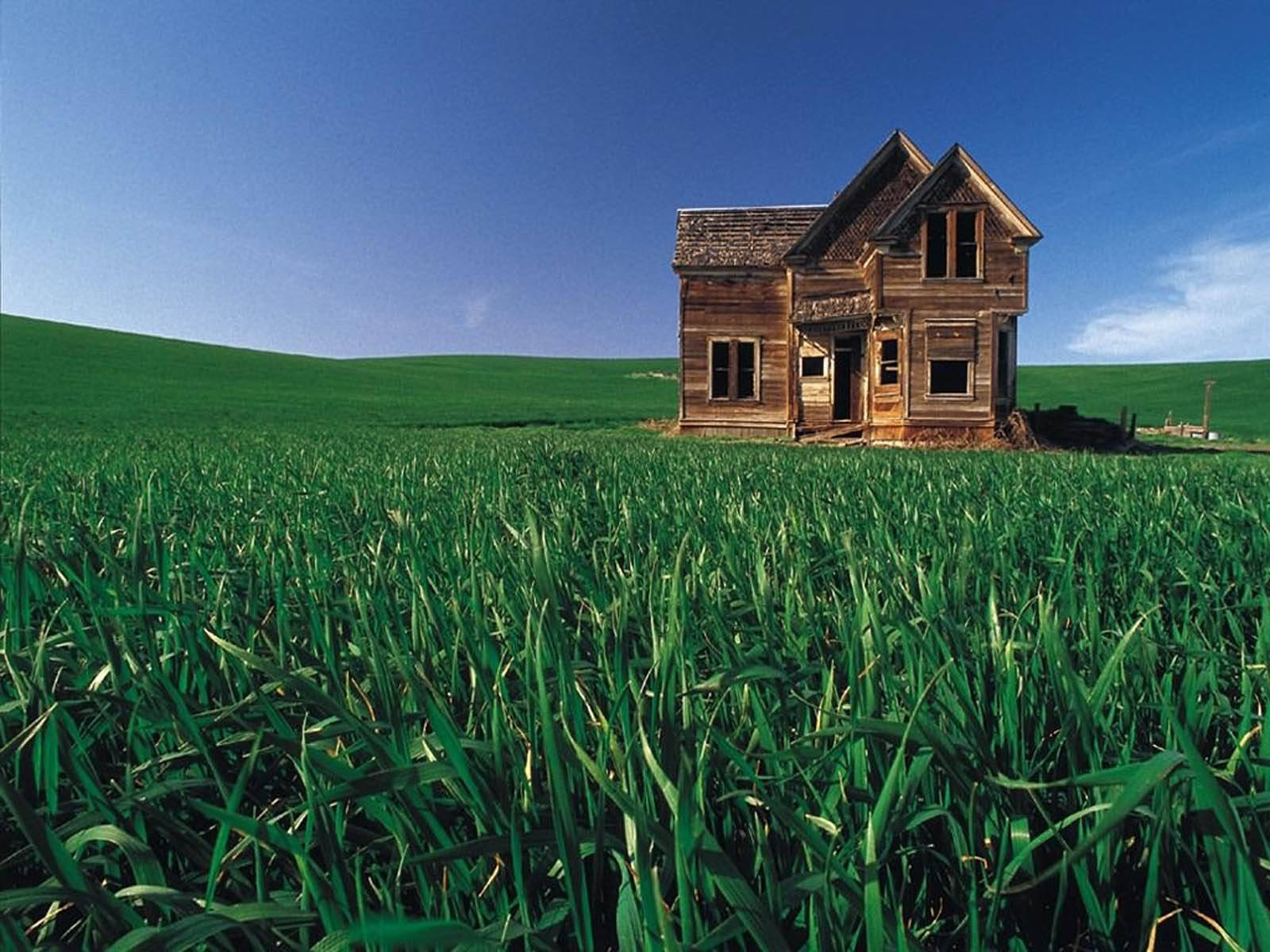 Wooden House On Green Grass Land Background