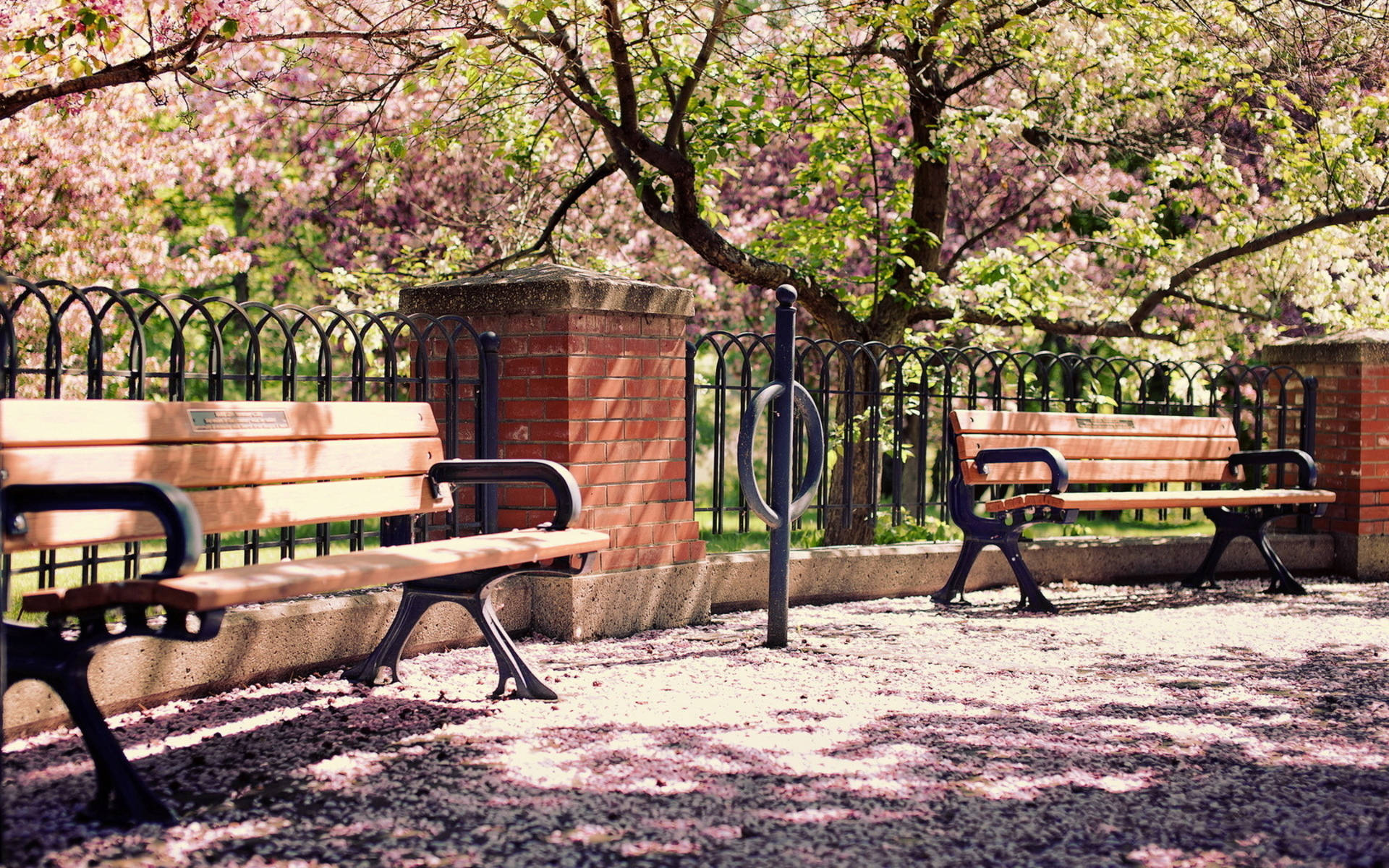 Wooden Park Benches Background
