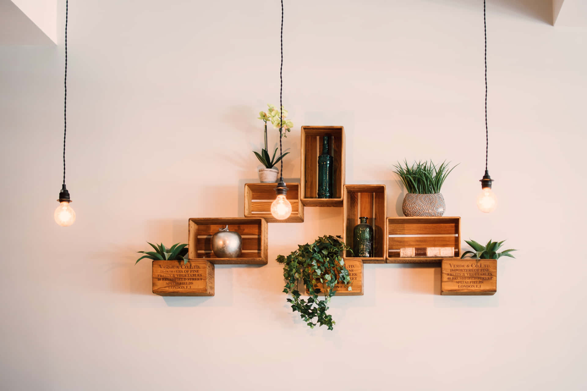 Wooden Plant Holder Interior Decor Background