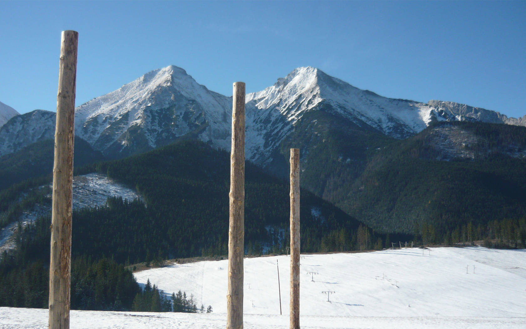 Wooden Poles In Slovakia Land Background