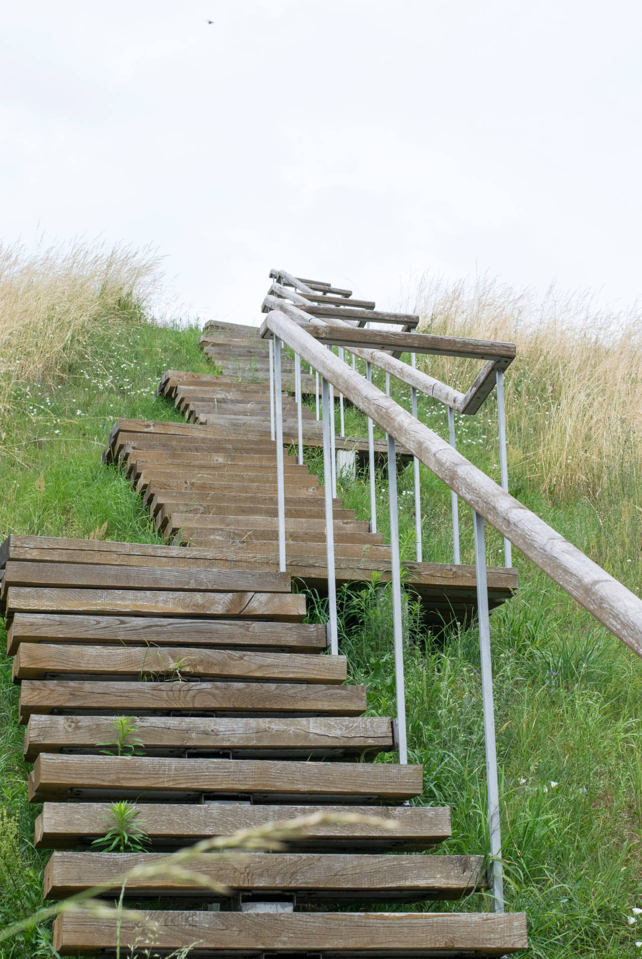 Wooden Staircase Surrounded By Grass In Lithuania Background