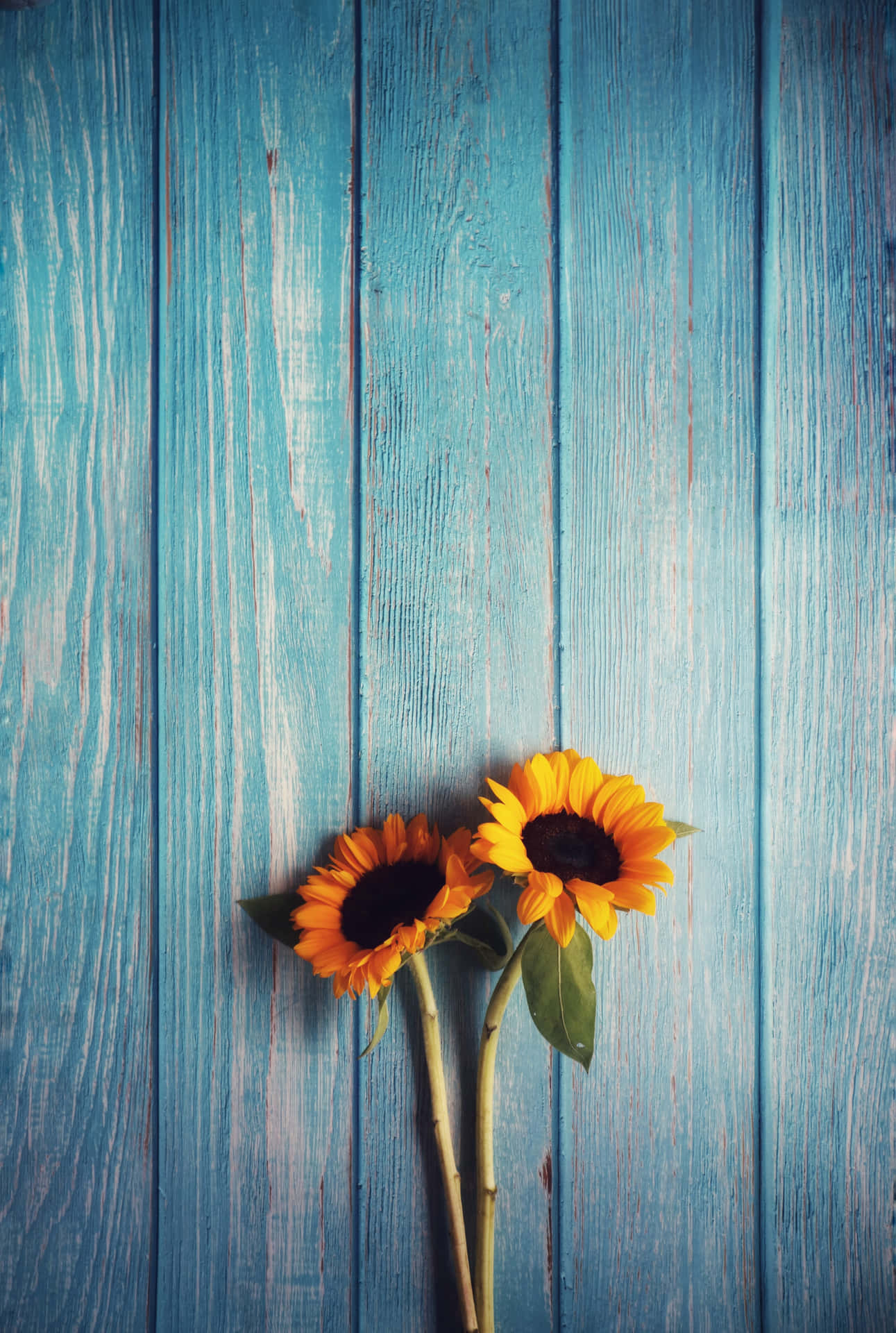 Wooden Table With Sunflower Phone Background