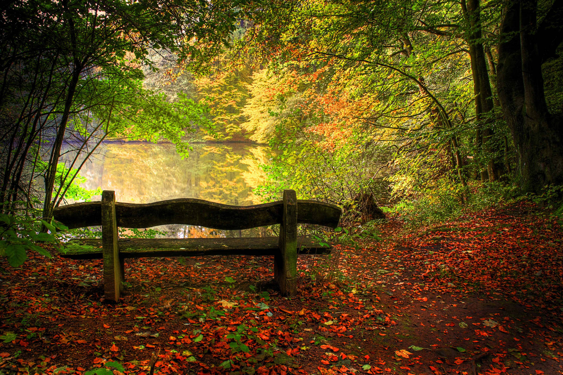 Wooden Wavy Bench