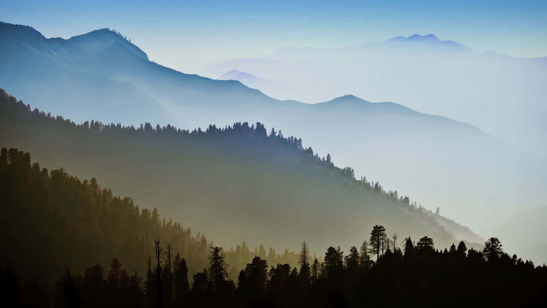 Woods Mountains California Macbook Default Background