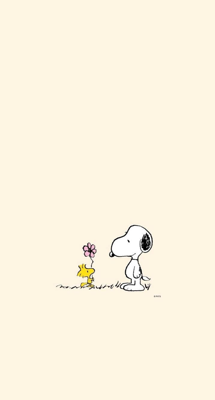 Woodstock Giving Snoopy Flower Background
